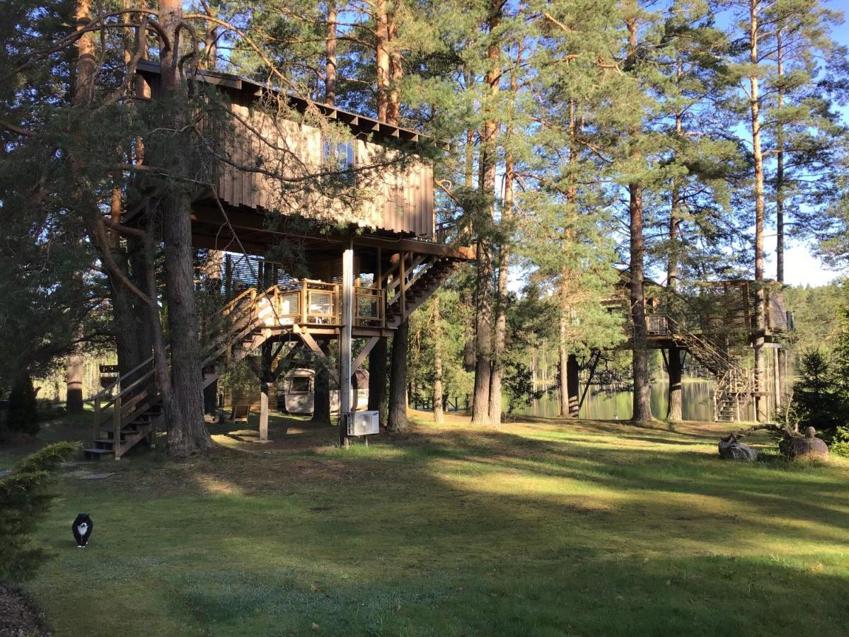 Villa Treehouse Ciekurs à Dukuri Extérieur photo