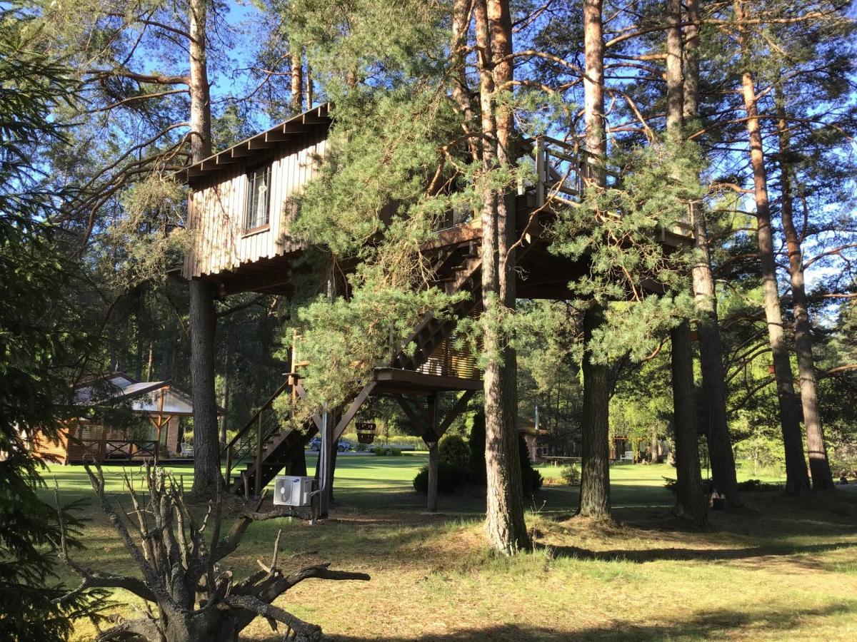 Villa Treehouse Ciekurs à Dukuri Extérieur photo