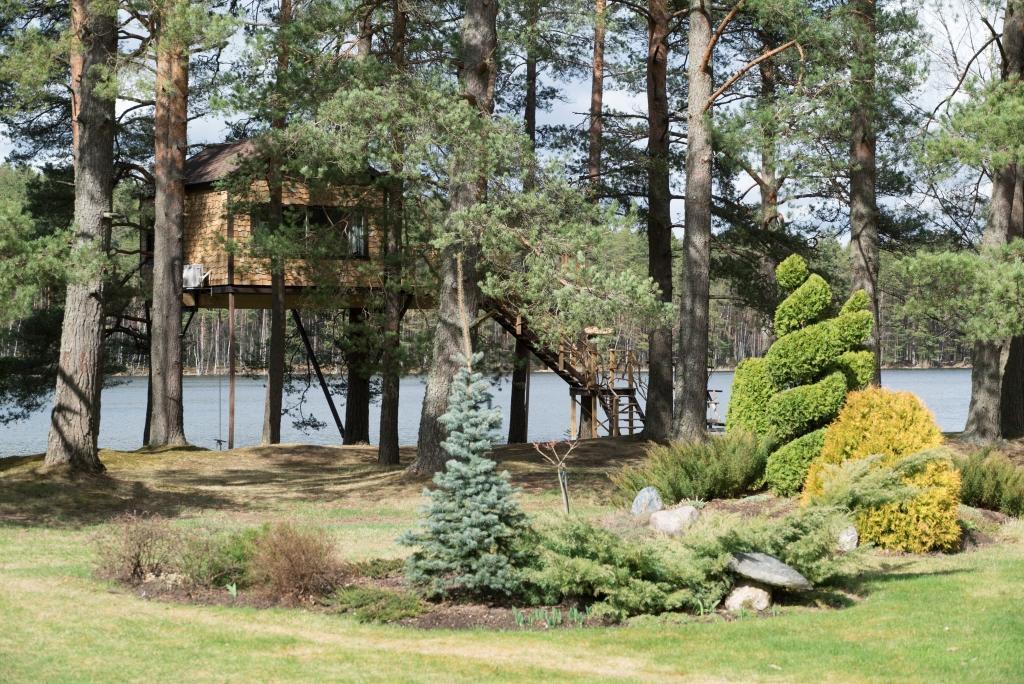 Villa Treehouse Ciekurs à Dukuri Extérieur photo