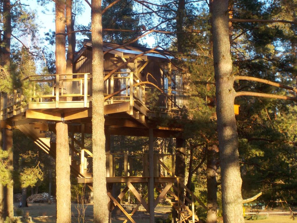 Villa Treehouse Ciekurs à Dukuri Extérieur photo