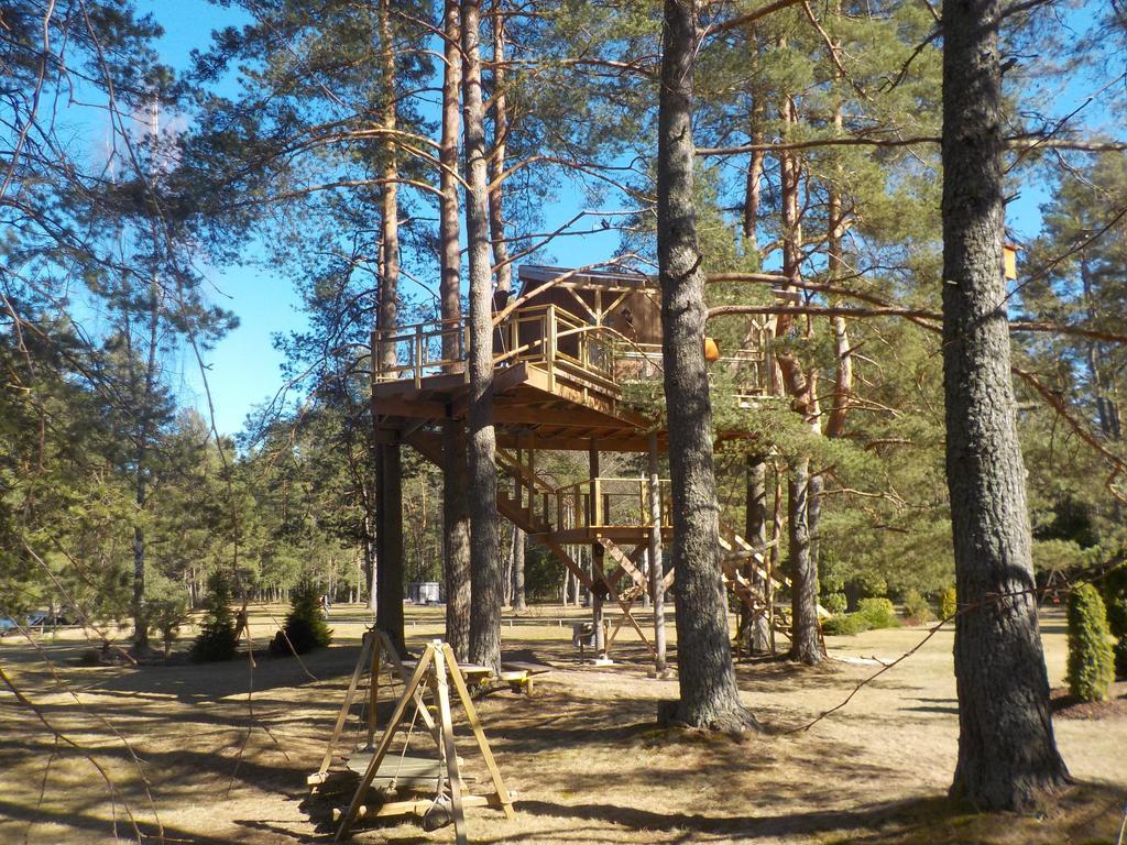 Villa Treehouse Ciekurs à Dukuri Extérieur photo