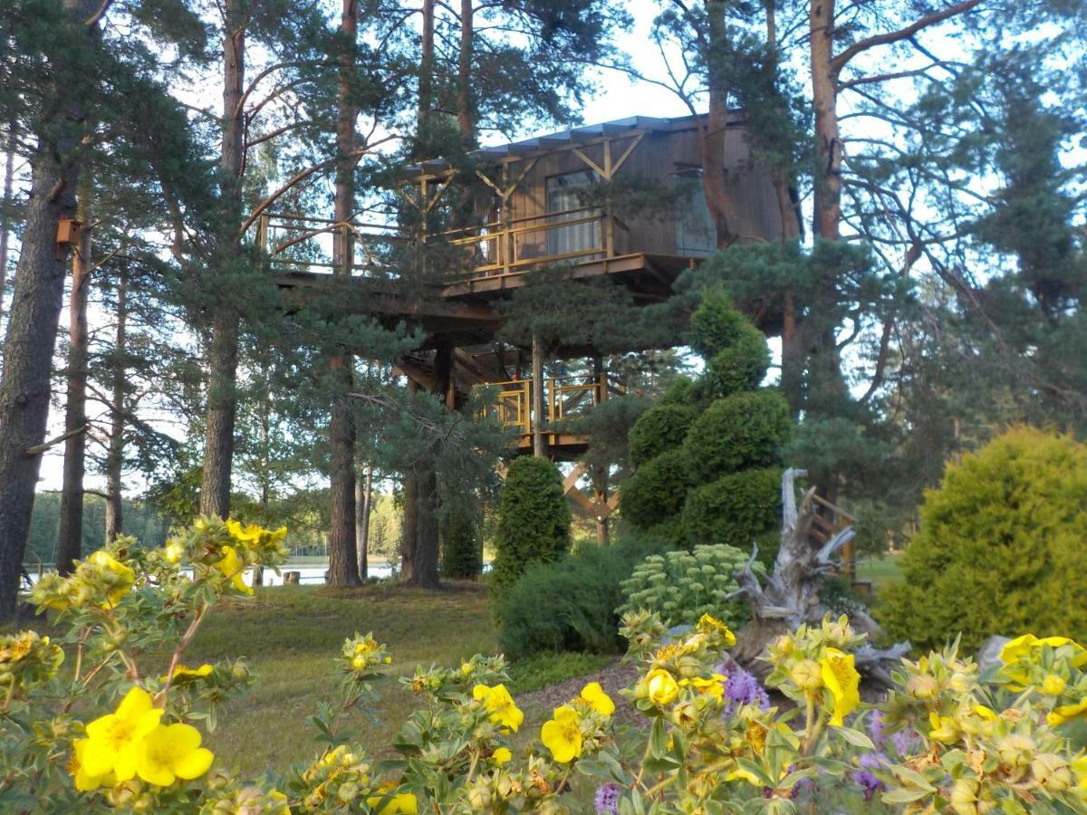 Villa Treehouse Ciekurs à Dukuri Extérieur photo